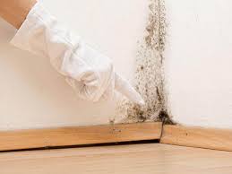 Best Residential Mold Inspection & Testing  in Edmonton, KY